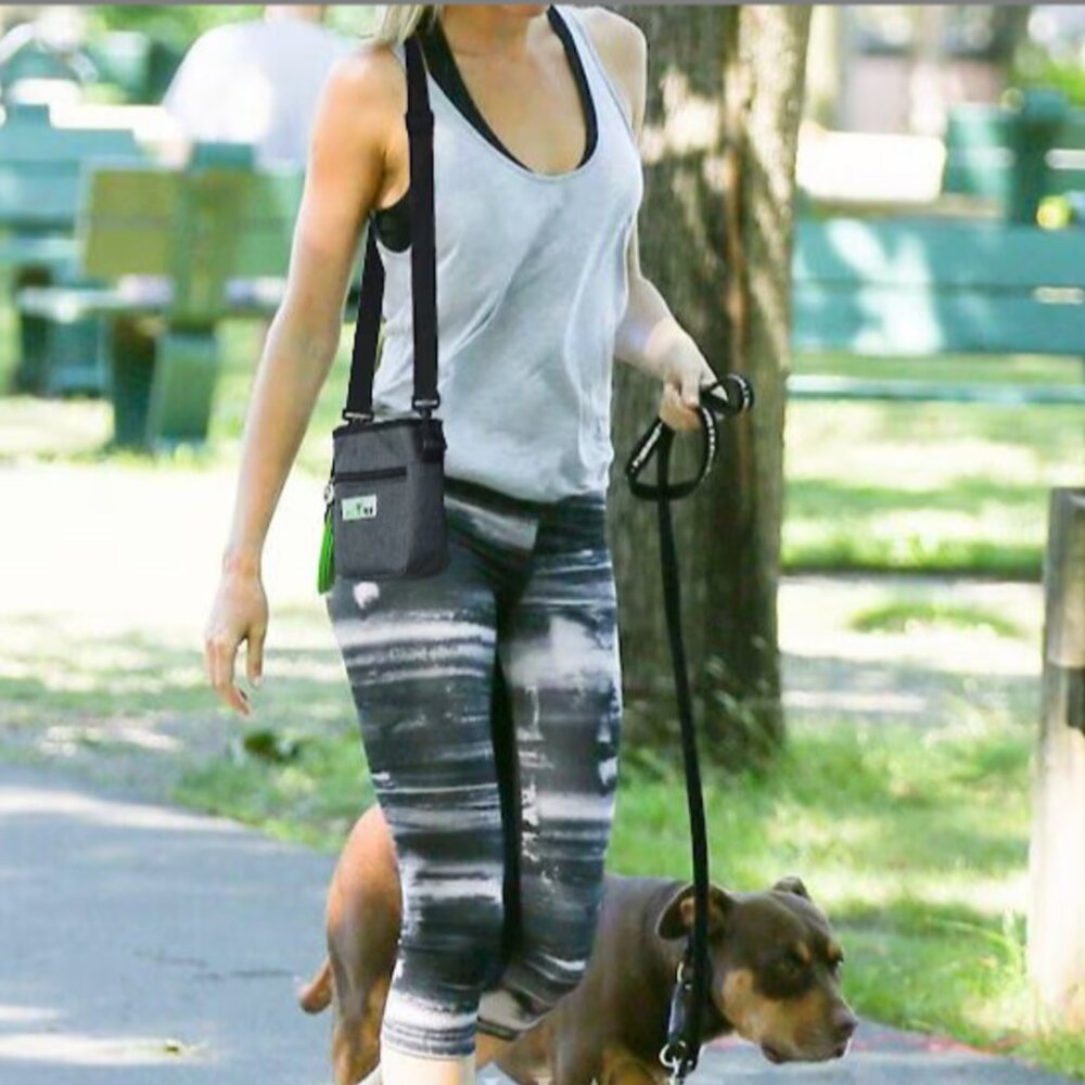 Make walks and training sessions easier with the PET N PET Dog Training Treat Po - Picture 10 of 11